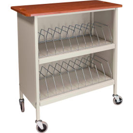 Omnimed® Artisan Cabinet Chart Rack 20 Binder Capacity Cherry Top with Beige Rack 265120-BG