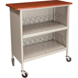 Omnimed® Artisan Cabinet Chart Rack 16 Binder Capacity Cherry Top with Beige Rack 265516-BG