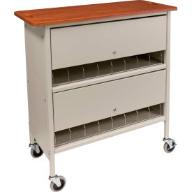 Omnimed® Artisan Privacy Chart Rack 16 Binder Capacity Cherry Top with Beige Rack 265616-BG