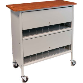 Omnimed® Artisan Privacy Chart Rack 16 Binder Capacity Cherry Top with Light Gray Rack 265616-LG