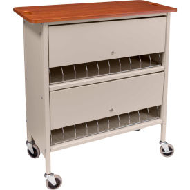 Omnimed® Artisan Privacy Chart Rack 20 Binder Capacity Cherry Top with Beige Rack 265620-BG