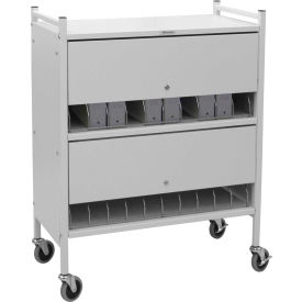Omnimed® Standard Vertical Cabinet Chart Rack with Locking Panel 20 Binder Capacity Woodgrain 280120-WG