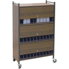 Omnimed® Standard Vertical Cabinet Chart Rack with Locking Panel 30 Binder Capacity Woodgrain 280130-WG