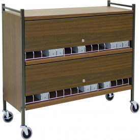 Omnimed® Large Vertical Cabinet Chart Rack with Locking Panel 45 Binder Capacity Woodgrain 280145-WG