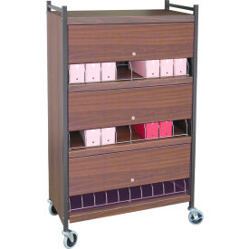 Omnimed® Standard Vertical Cabinet Chart Rack with Locking Panel 24 Binder Capacity Beige 281524-BG