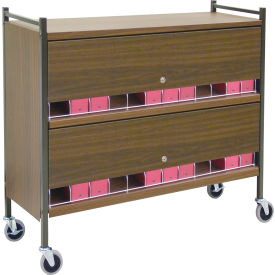 Omnimed® Large Vertical Cabinet Chart Rack with Locking Panel 24 Binder Capacity Woodgrain 281530-WG