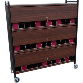 Omnimed® Large Vertical Cabinet Chart Rack with Locking Panel 36 Binder Capacity Woodgrain 281536-WG