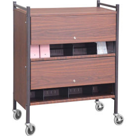 Omnimed® Versa Cabinet Style Rack with Locking Panels 2 Shelves Woodgrain 282120-WG