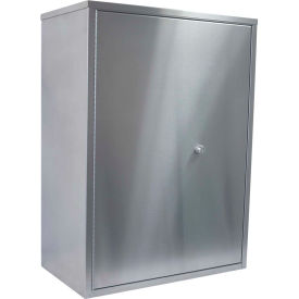 Omnimed® Stainless Maxi Narcotic Cabinet Double Door Ambi-Top 4 Adj. Shelves 22