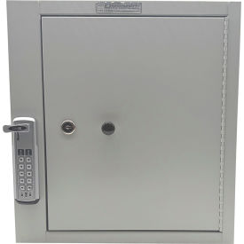 Omnimed Audit Regulator Cabinet with Painted Steel Door 14