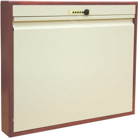 Omnimed® Elite Full Size Wood Frame Wall Desk Manual Close Key Lock Beige/Cherry 291536CHR
