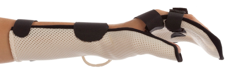 Example of GoVets Orfit Ease category