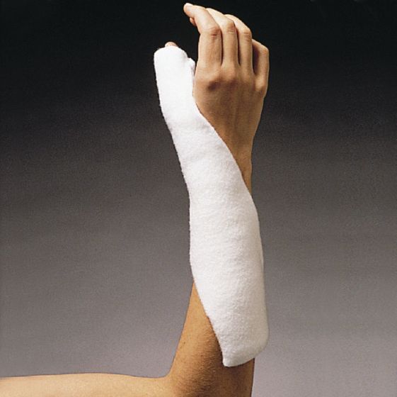 Example of GoVets Cast Kits category
