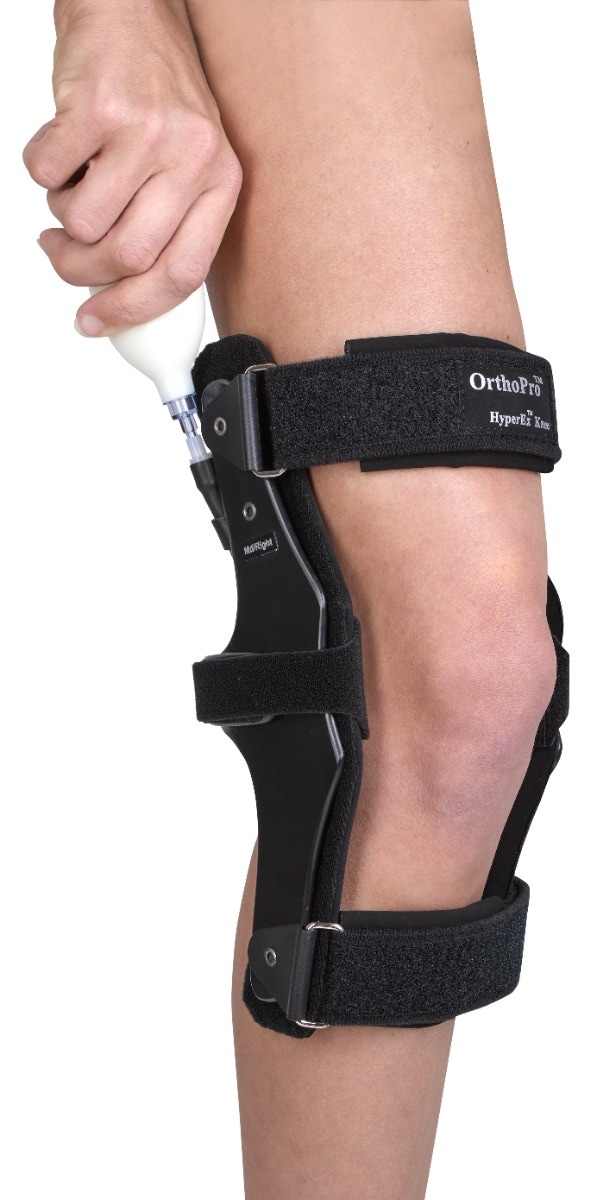 Example of GoVets Orthopro brand