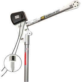 OZ Lifting Products 500 lb. Alumi-Lite Davit Crane with 115V AC Electric Winch OZA500DAV-ACW