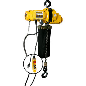 OZ Lifting Products Electric Hoist 2000 lb. Capacity 30' Lift 13 FPM 115V OZ2000EC-30