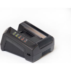 Fromm Replacement Charger for a Fromm P331 Li-Ion 120V/50-60 Hz P331 CHARGER N5.4455