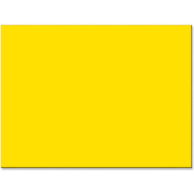 Pacon® Tru-Ray Sulphite Construction Paper 18