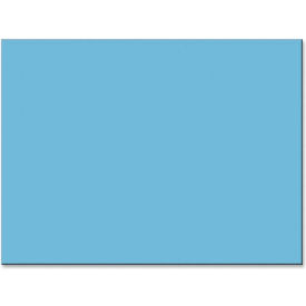 Pacon® Tru-Ray Sulphite Construction Paper 24