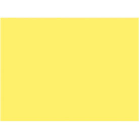 Pacon® SunWorks Construction Paper 9