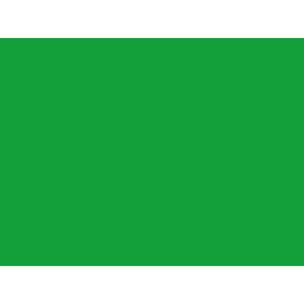 Tru-Ray Construction Paper, 50% Recycled, 18in x 24in, Festive Green, Pack Of 50 MPN:103070