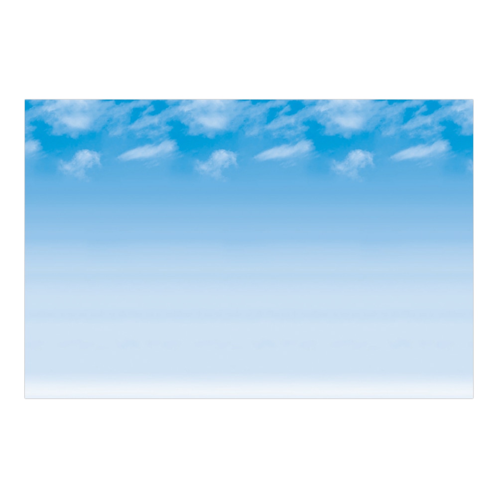 Pacon Fadeless Designs Bulletin Board Paper, 48in x 50ft, Wispy Clouds MPN:0056935
