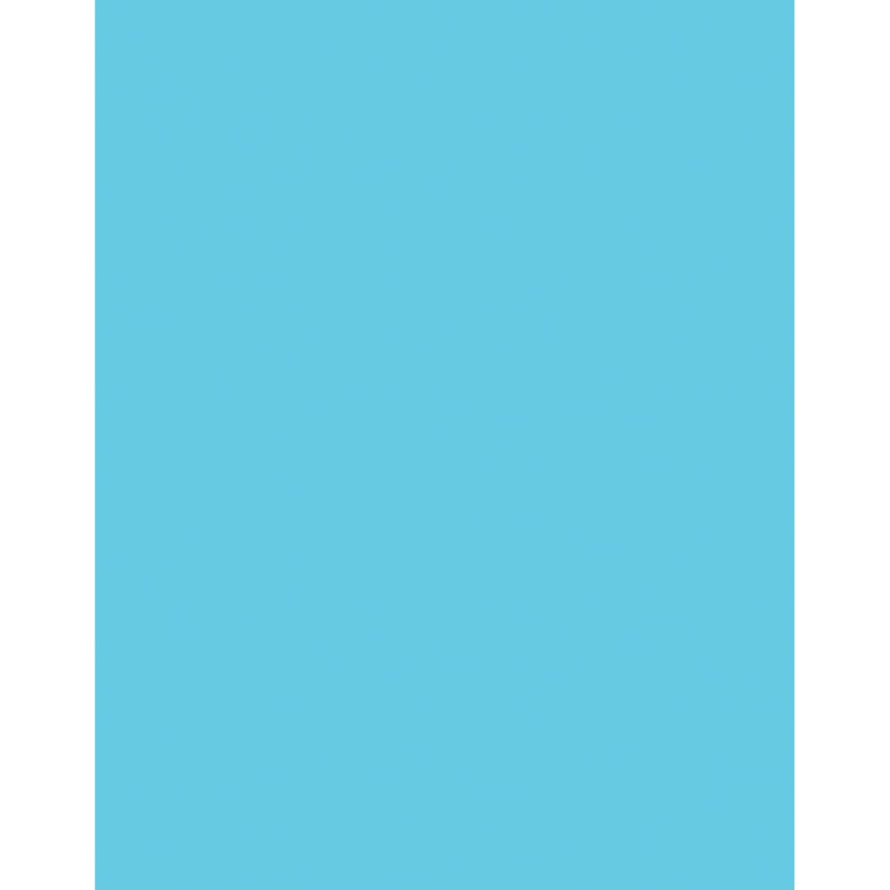 Pacon Peacock Coated Poster Board, 22in x 28in, Light Blue, Pack Of 25 MPN:5387-1