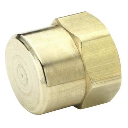 Brass Dryseal Pipe Fitting, FNPT, 1/8
