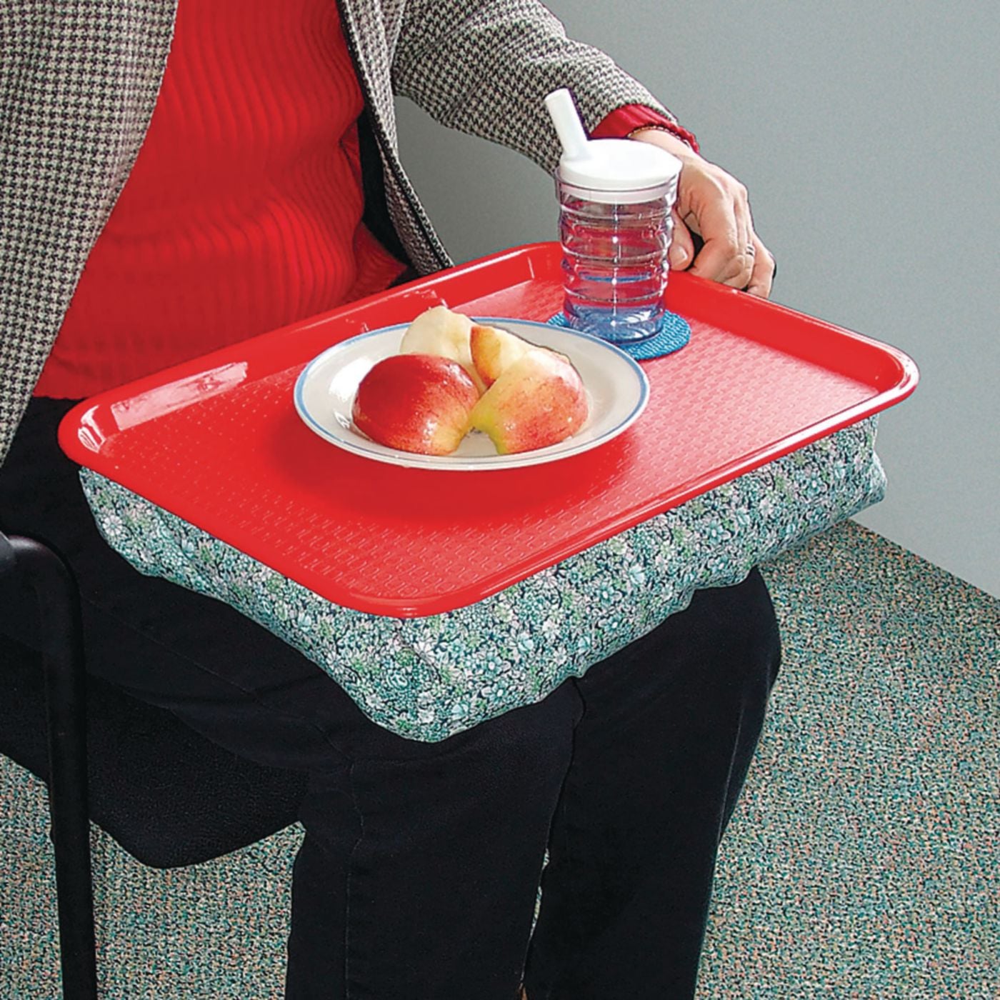 Example of GoVets Trays category