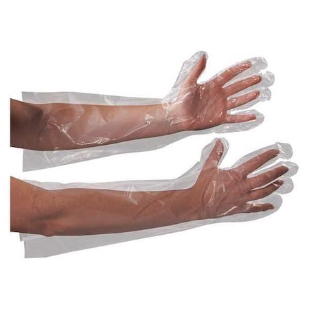 Disposable Gloves, 1.00 mil Palm, Polyethylene, Universal, 100 PK, Clear MPN:GLV2221