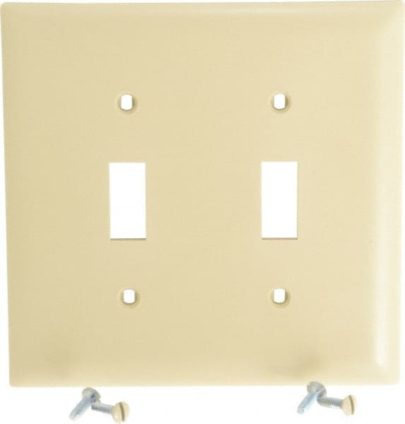 2 Gang, 4-3/4 Inch Long x 4-11/16 Inch Wide, Standard Switch Plate MPN:TP2I