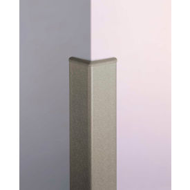 Pawling® CGP-10-4-370 Surface Mounted Corner Guard PETG Over Aluminum 3