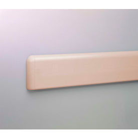 Pawling® WG-4P-12-648 PETG Crash-Rail-Type Wall Guard 12' x 3/4