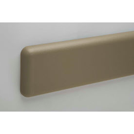 Pawling® WG-6CP-12-210 PETG Crash-Rail-Type Wall Guard 12' x 1
