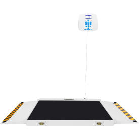Health O Meter 2700KL Digital Wheelchair Dual Ramp Scale 1000 x 0.2lb XL Platform Remote Display 2700KL