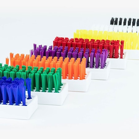 Hand And Nail Brush, PK 20 MPN:3056