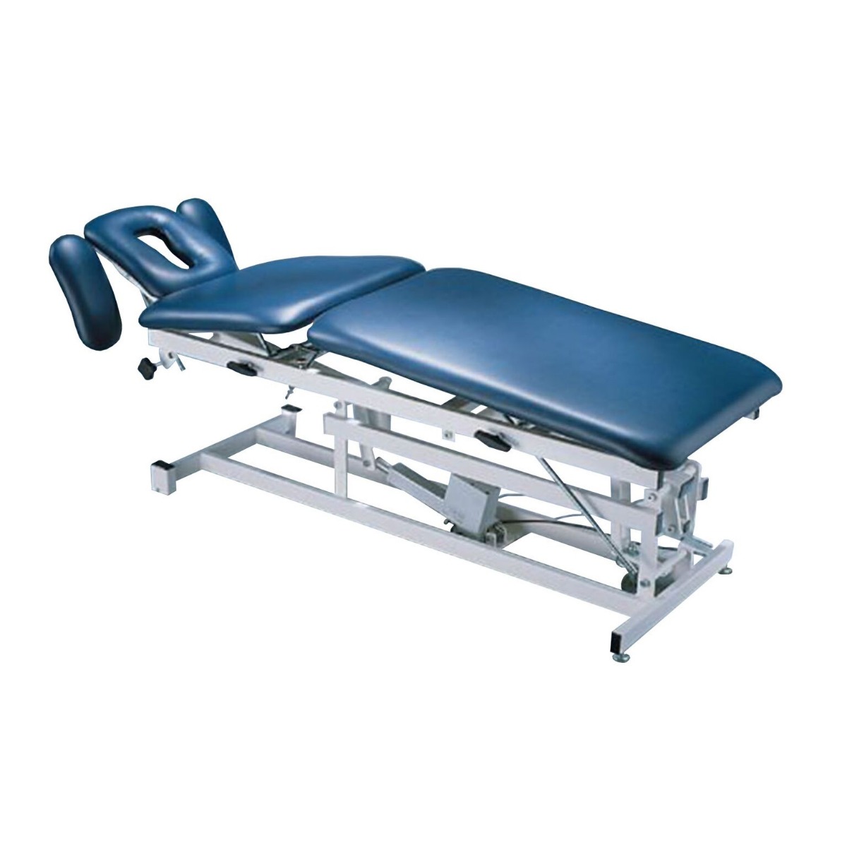 Example of GoVets Performa category