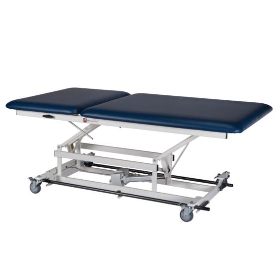 Example of GoVets Bobath Tables category