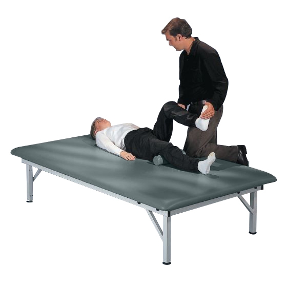 Example of GoVets Metal Fixed Height Mat Platform category