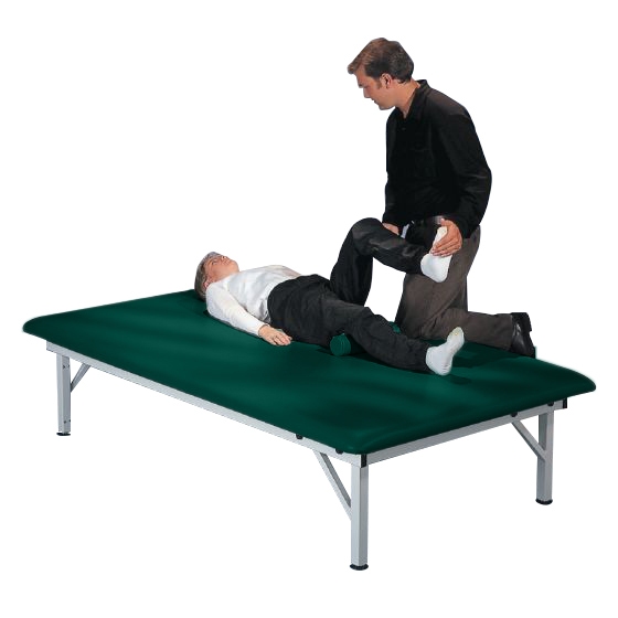 Example of GoVets Metal Fixed Height Mat Platform category