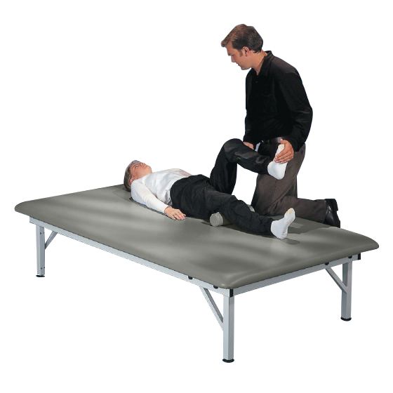 Example of GoVets Performa category