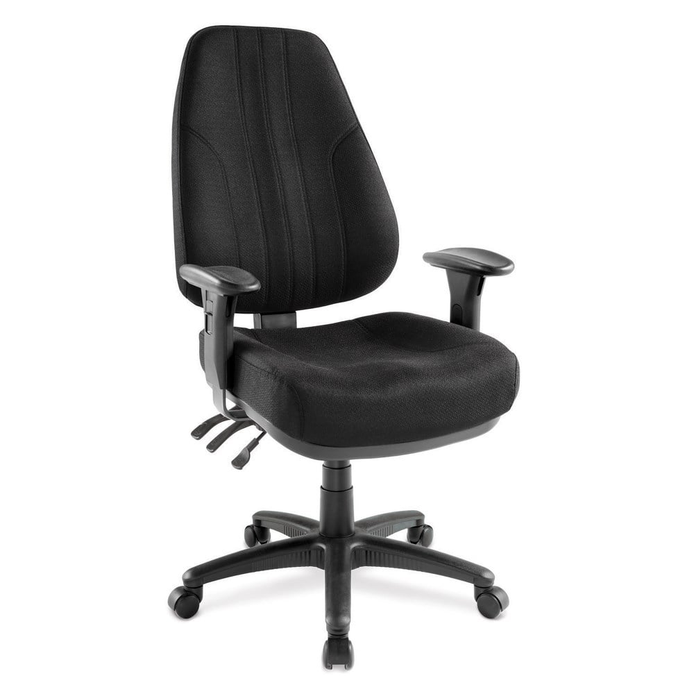 Raynor Miranda Multifunction High-Back Chair, Black MPN:D440P-CARBON
