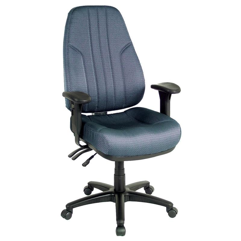 Raynor Miranda Multifunction High-Back Chair, Pewter/Black MPN:D440PGRAPHITE