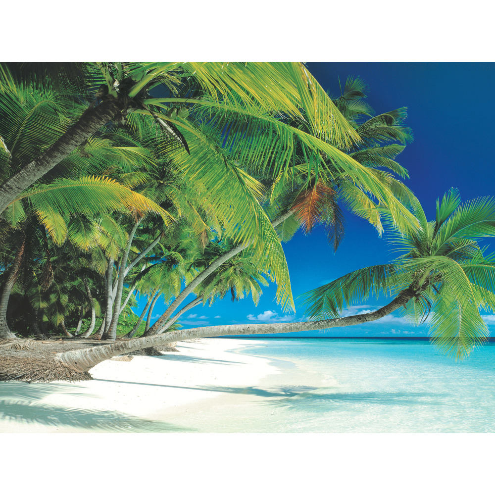 Biggies Landscape/Seascape Mural, 40in x 30in, Unframed, Beach MPN:BG-WM-BCH-40