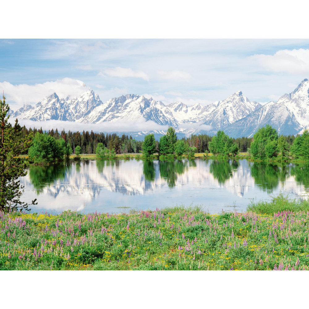 Biggies Landscape/Seascape Mural, 24in x 18in, Unframed, Mountain Flowers MPN:BG-WM-MFW-24