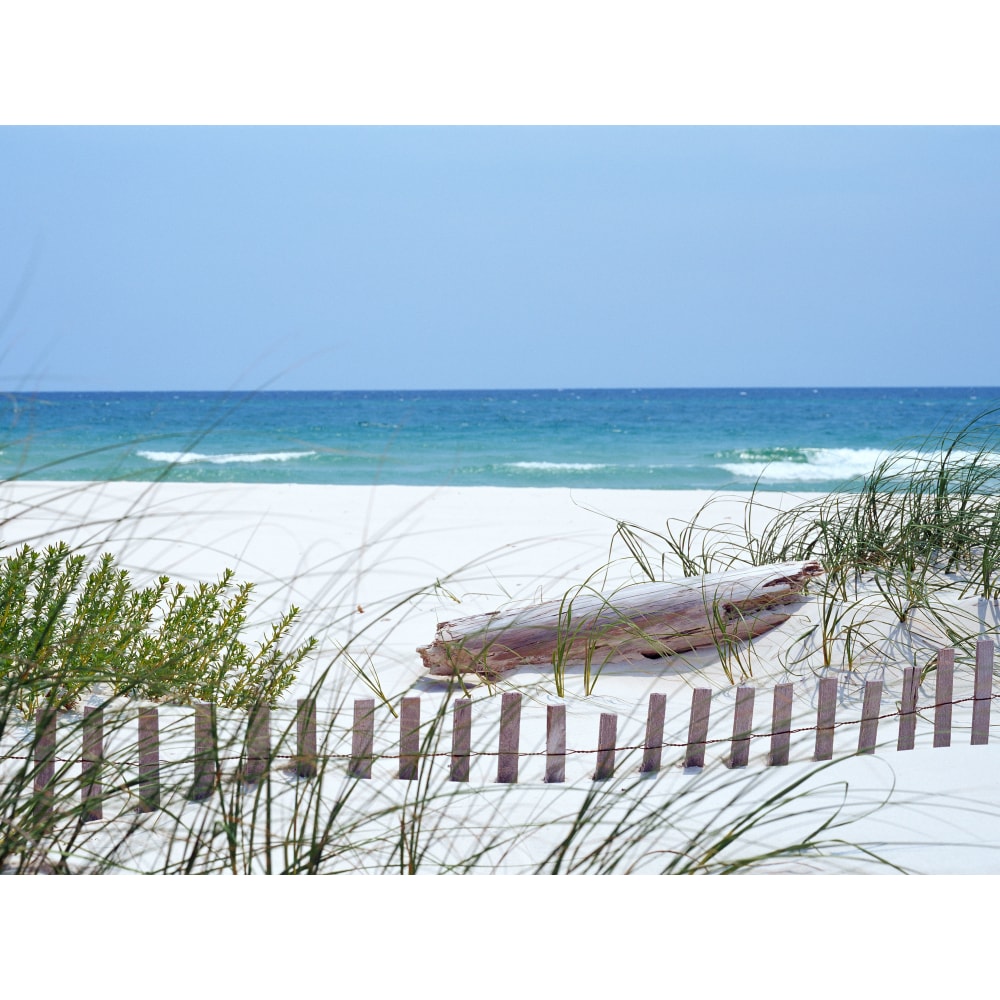Biggies Landscape/Seascape Mural, 32in x 24in, Unframed, South Carolina Coast MPN:BG-WM-SCT-32
