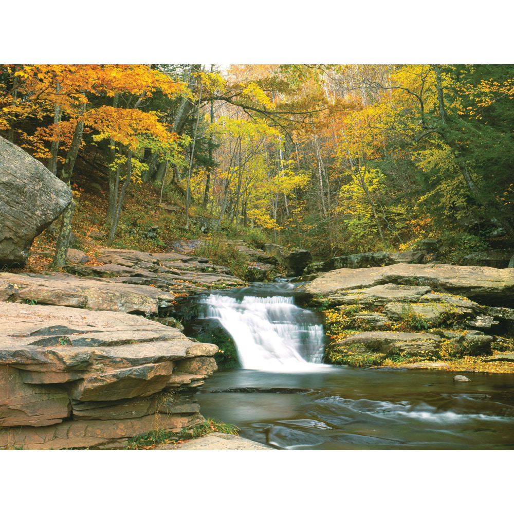 Biggies Landscape/Seascape Mural, 32in x 24in, Unframed, Stream MPN:BG-WM-STM-32