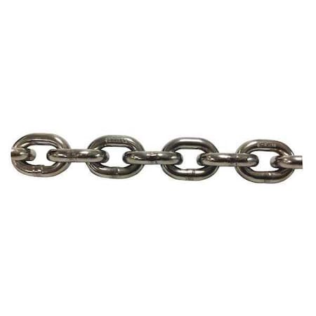 Straight Chain, 316 SS, 100'L, 5, 500 lb MPN:39568/100