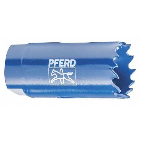 Example of GoVets Pferd category