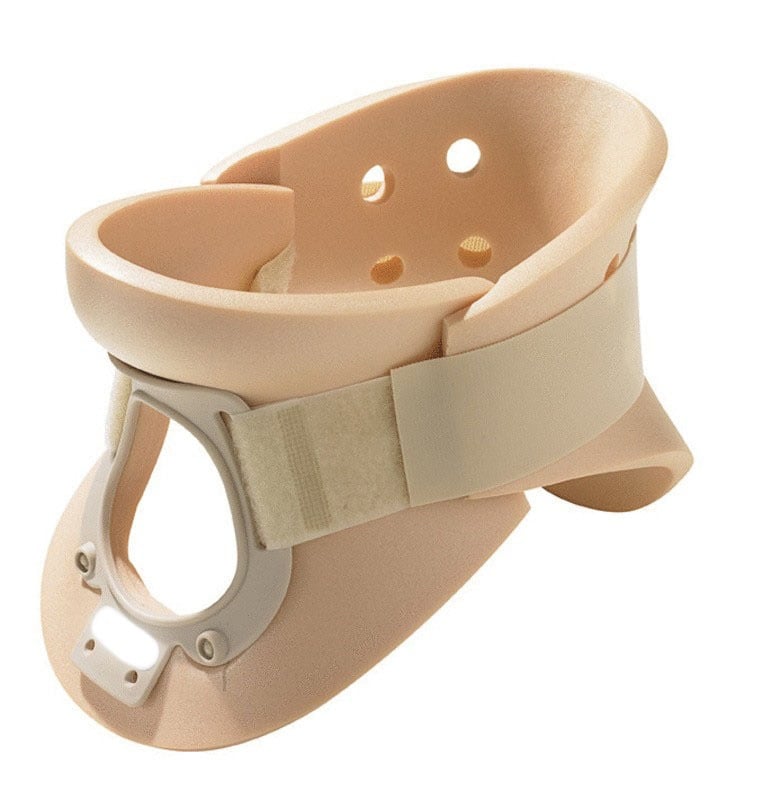 Example of GoVets Cervical Immobilize category